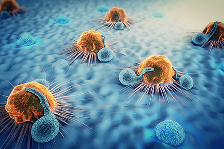 cancer-cells-lymphocytes